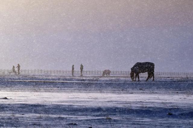 为了这道光，我做了一次疯狂的行动