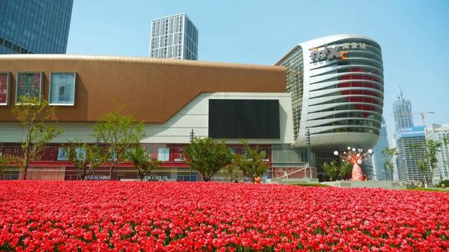 来济南看周杰伦演唱会，“周同学”也要去邂逅！