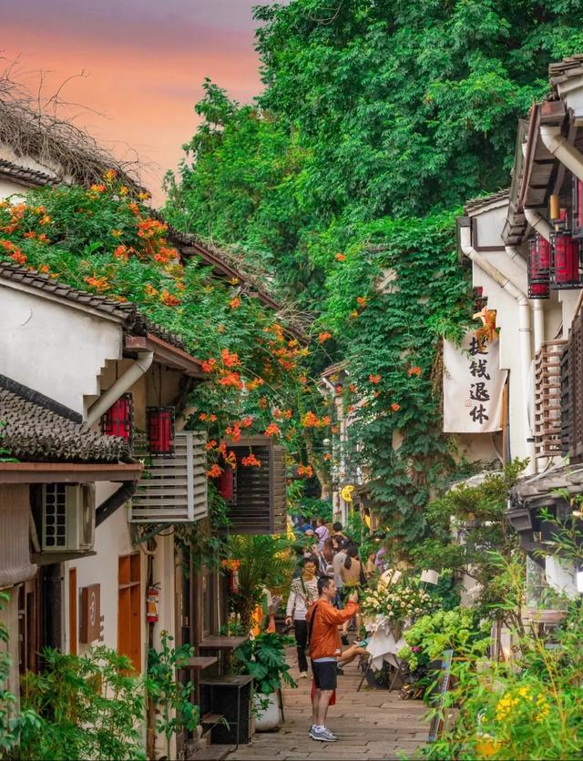 杭州这5个地方彻底火了!不去肠子都悔青!赶紧收藏!