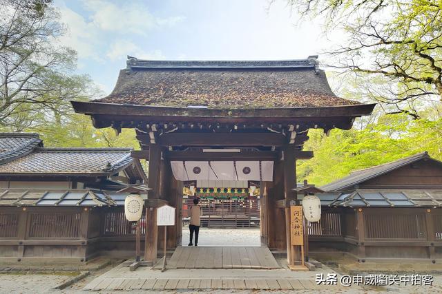 日本京都：走进贺茂御祖神社（下鸭神社）