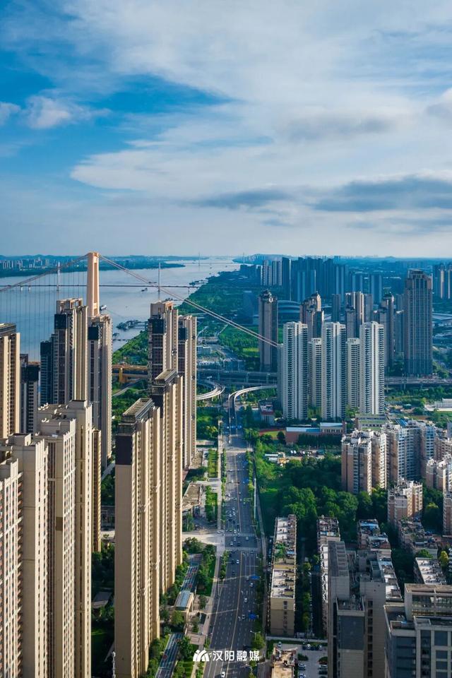 上央视！汉阳这条大道凭什么成顶流？