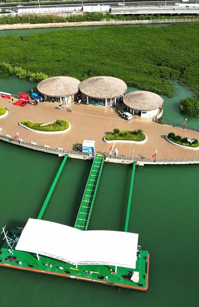 厦门下潭尾湿地公园，被称厦门版的马尔代夫，海上森林，颜值爆表
