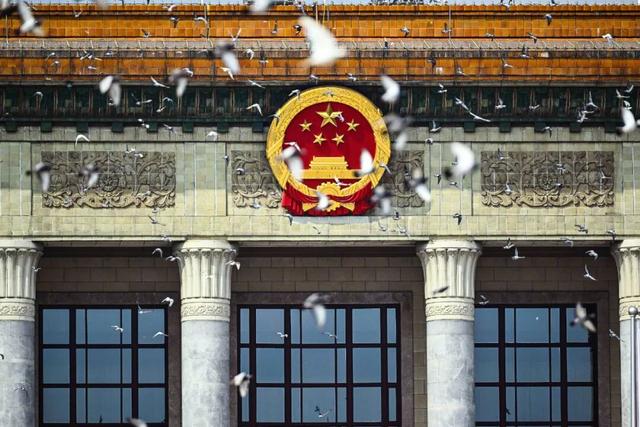 九三阅兵8万只和平鸽都已回家，一鸽友称40只鸽子参与阅兵：最快20分钟回家，回归率100%