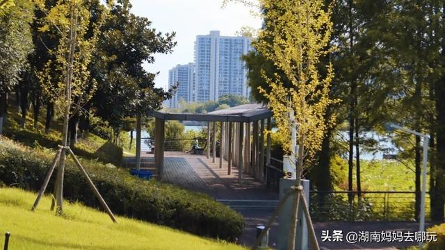 30分钟登顶！长沙私藏小众徒步路线，一站解锁遛娃顶“尖”玩法