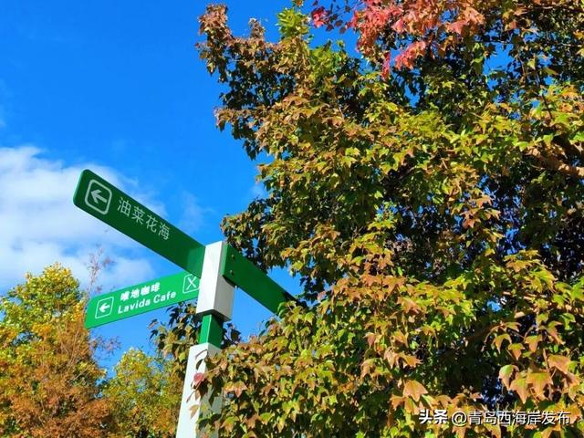 唐岛湾，美得如此满分！