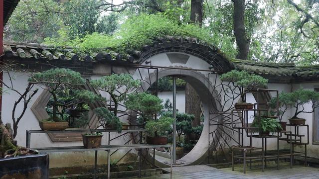 云南千年古寺，矗立深山，有唐代禅杖，元代石碑，千手观音