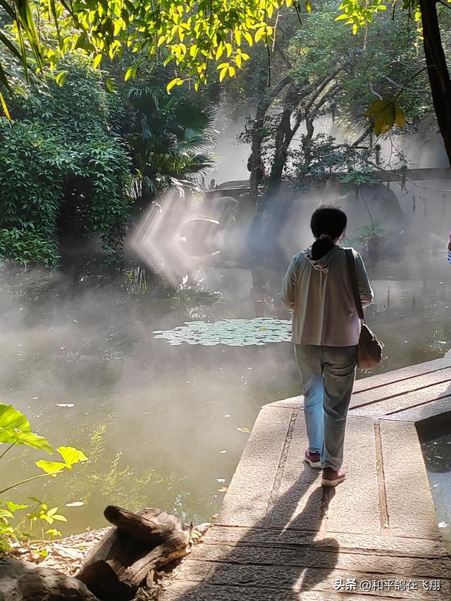 厦门植物园：邂逅自然的绮梦