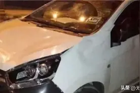 汽车被踩至面目全非！5头大象为何发狂？揭秘大象的情感世界图片