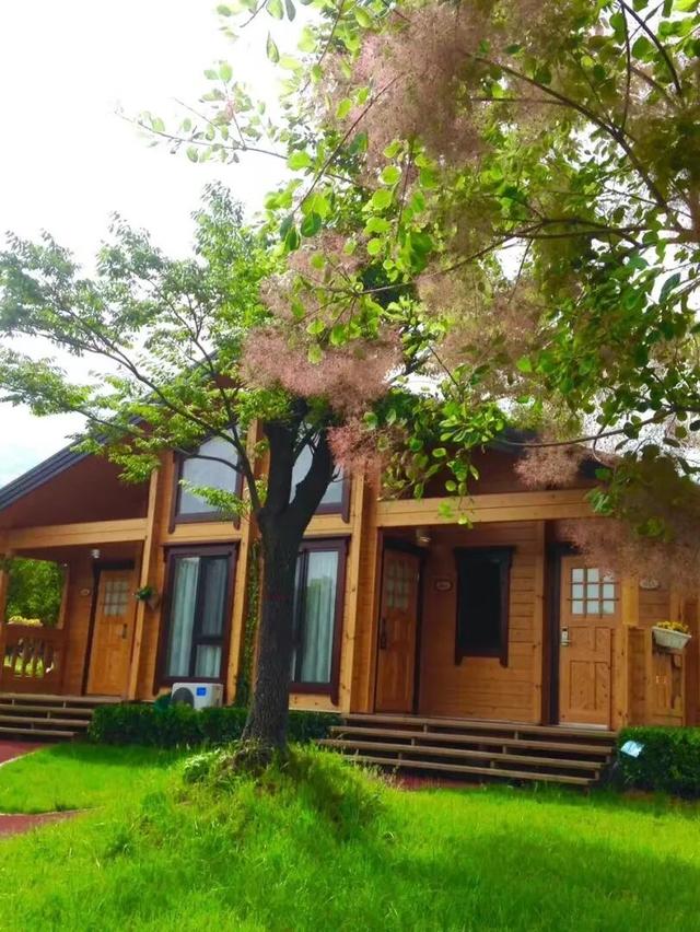 2026，赴华山之约，见山河壮阔