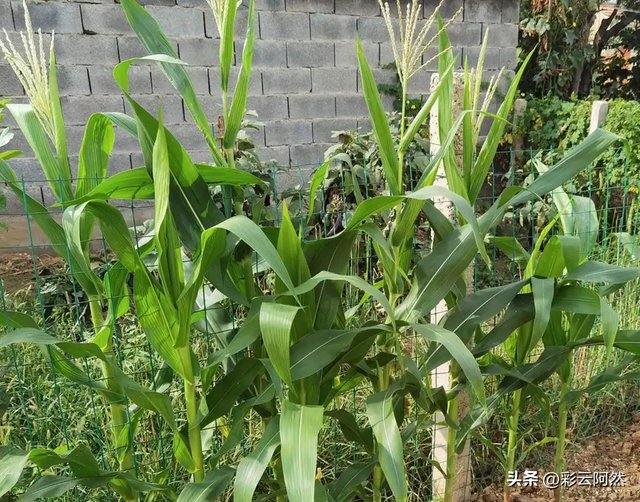 台风来了！本轮降水中心已定，分布以下地区，今日7月18~22号天气