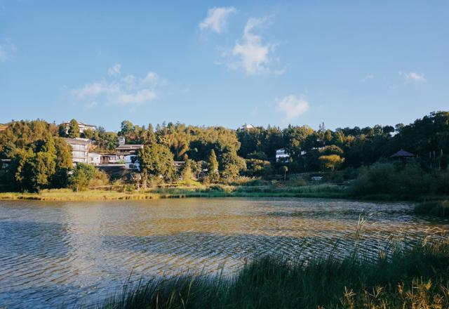 谁懂啊！鼓岭还有这么美的地方，随手一拍都是大片