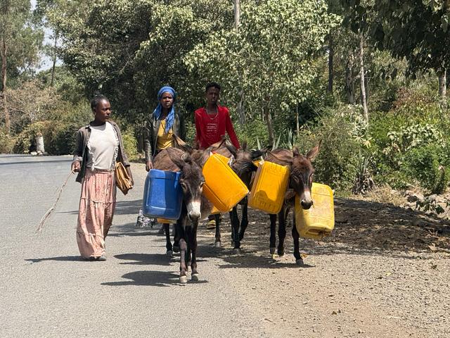 【联合国特别大师】人类祖先露西与世界选美