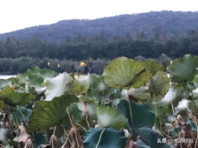 今年冬天会很冷吗