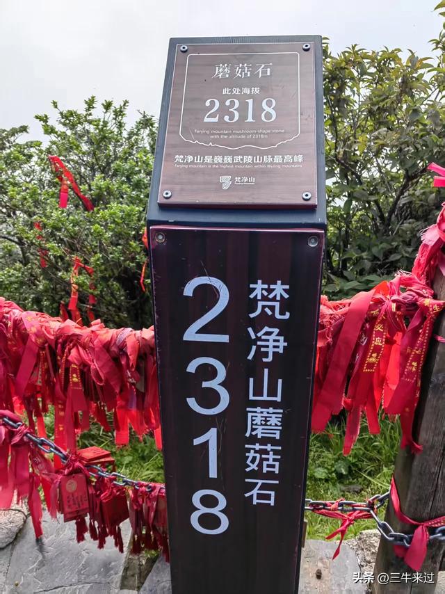 无为在歧路,贵州六日行(15)~梵净山