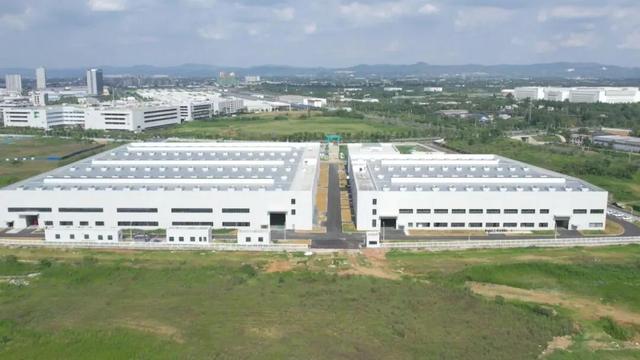 成都与法国，跨越千里的“双向奔赴”