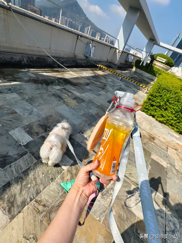 “尖叫”都没想到，靠瓶子爆火了！这哪是包装，明明是生活神器