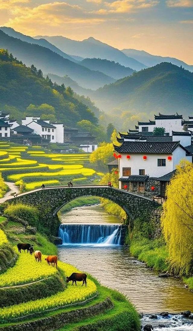 最美乡村：花海拥古村，山水间藏着诗与远方