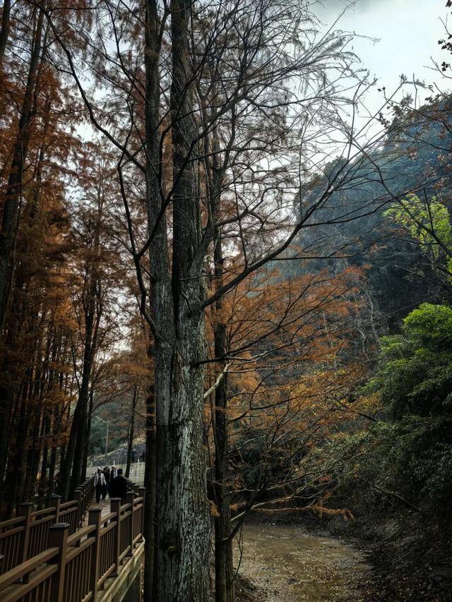 因何而徒，步履发声——徒步众生相