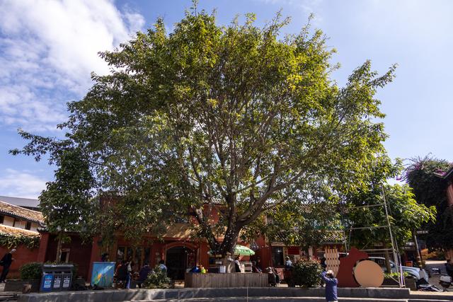 天下彝家第一村——迤沙拉