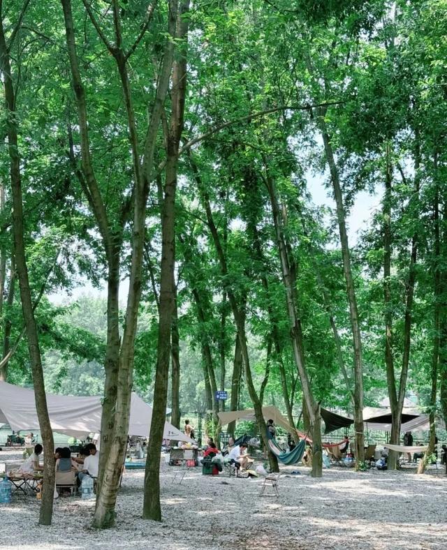 打卡新津“不二・竹涧溪野”！把快乐藏进林盘与溪水里