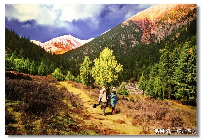 青海省博物馆里的“大美青海”成就展