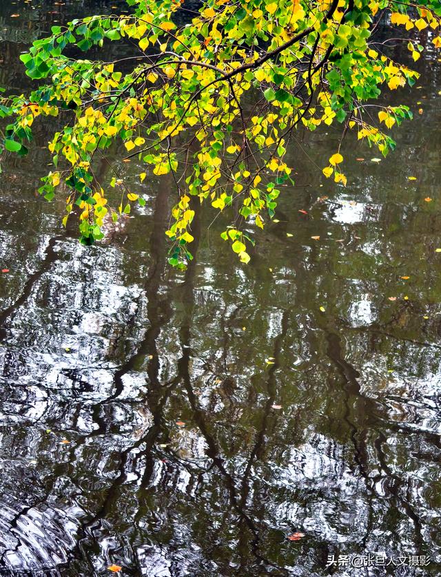 跟着张旦行摄中国-走进南京 这座国家历史文化名城 感受古都的魅力