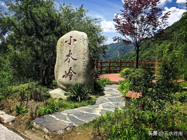 秦岭深山一条导航不出来的路，却是一条千年古道，有老屋有古树