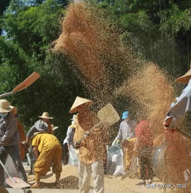 清算！释永信被调查后，再传4大噩耗，私生活混乱只是冰山一角？