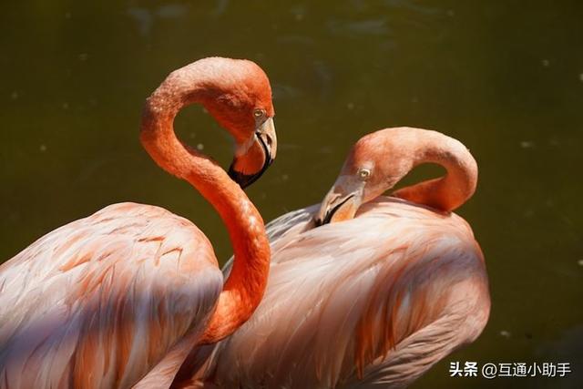 50mm起步的超远摄变焦!腾龙“50-400mm F/4.5-6.3 Di III VC VXD”评测