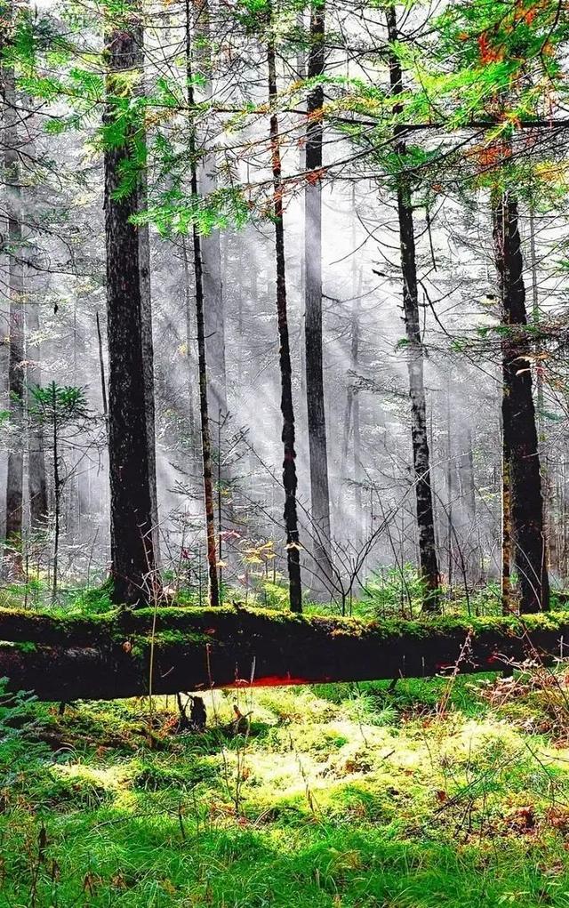 传说中的神仙山，这个季节的风景，好美~
