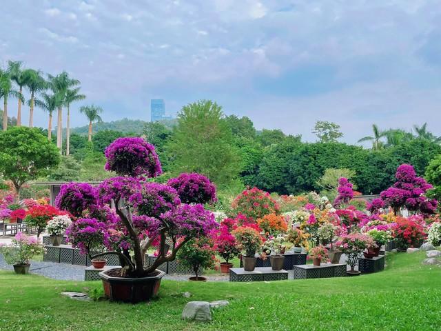 【深圳人私藏的“桃花源”被我曝光了】莲花山公园遛娃赏花全攻略
