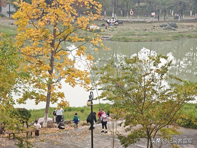 凤栖绿道，湖畔闲游——成都金牛区凤凰山公园游记