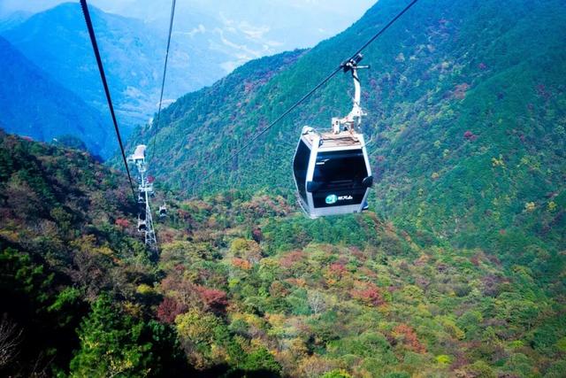 明月山免票福利来啦！三八妇女节邀你一起“上春山”！