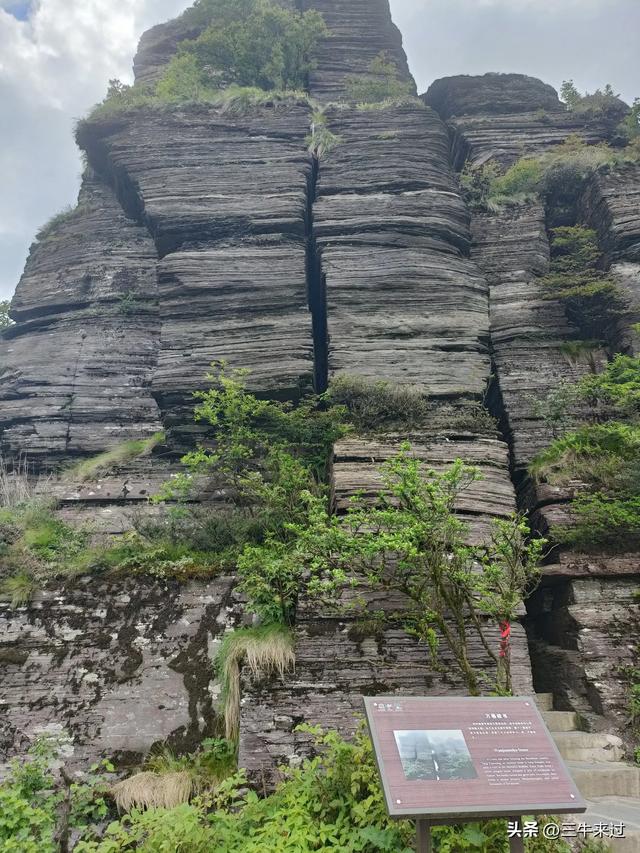 无为在歧路，贵州六日行（15）～梵净山