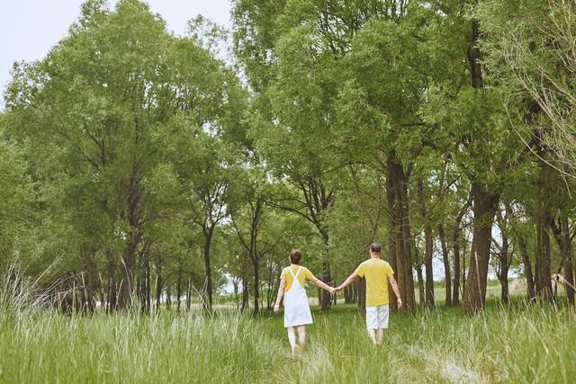 情感爆文：在繁忙的生活中，别忘了停一停，感受那些细腻的情感