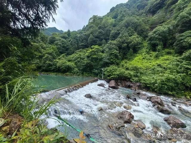夏天你不能错过的浙南九寨沟！幽谷俊山，碧波荡漾，美得不像人间