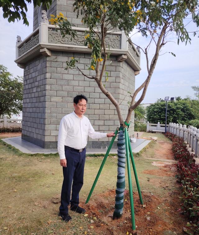 甲子待渡山，初冬披绿迎宾客