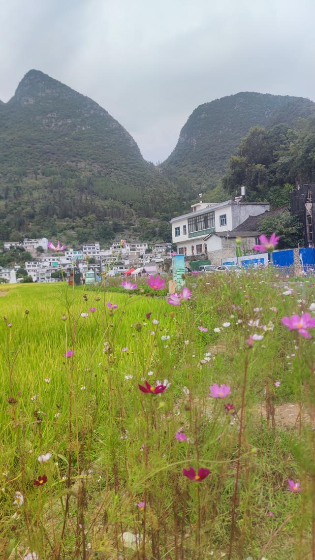 贵州万峰林景区