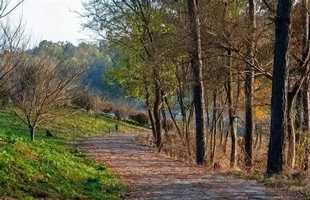 国际山岳日｜今天适合爬山~