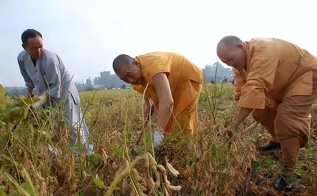 果然没猜错，少林寺新方丈实行新规后，知情人爆料已有30多人离职