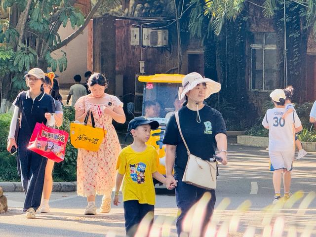 南宁：第三季度面向学生群体实施景区门票优惠，动物园落实服务游客措施