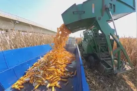 农机报废更新补贴，速来了解→图片