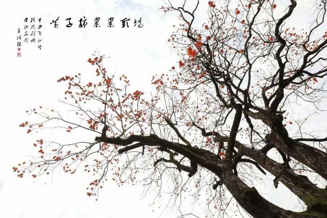 利州＝梦幻秋色打卡地