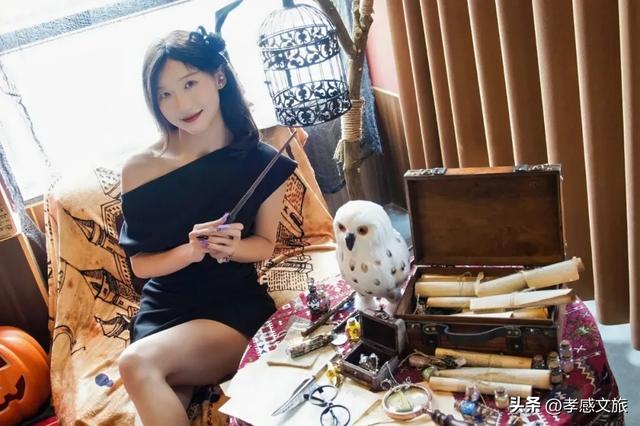 摸爬宠、探魔法，孝感这个一站式遛娃新地标诞生！