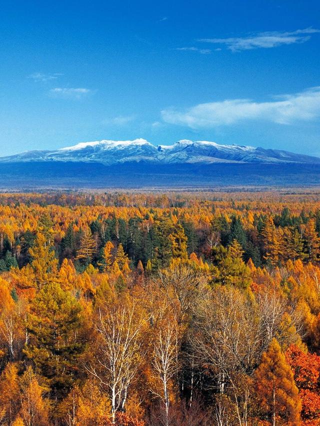 吉林这边秋色正好！重阳攀登“步步高”