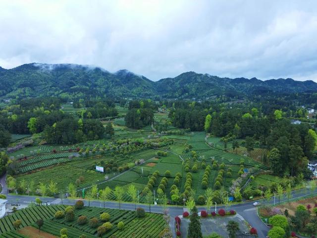 跟着赛事游遵义 | 四种线路玩法游遍遵义！