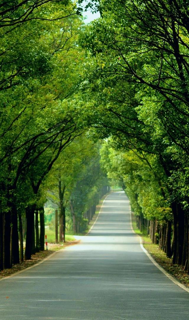 #治愈系风景 #清新美景