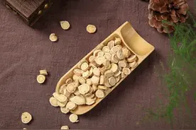 黄芪×蒲公英×熟地黄：肠道菌群『黄金三剑客』『补气-解毒-滋阴』图片