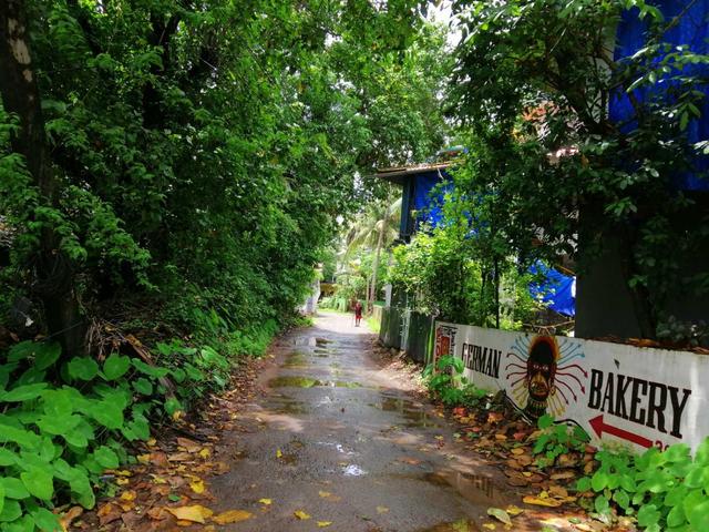 探访南印度果阿，最不像印度的印度城市