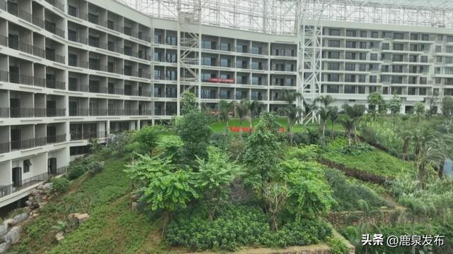 鹿泉：攻坚护航旅发大会！小三亚项目提前两个月送电